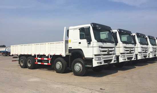 Hộp số tay Howo Xe tải chở hàng 8x4 Euro 2 Phát thải 371hp Động cơ ZZ1317N3867A
