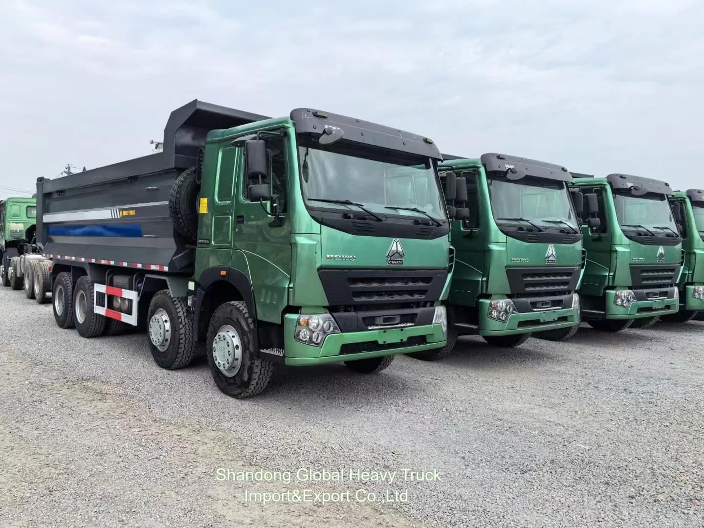 Sinotruck Howo 50ton Dump Trucks 8x4 375hp Euro2 Heavy Duty Trucks mới và cũ